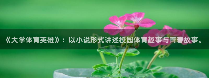 欧亿体育官方正版app娱乐下载:《大学体育英雄》:以小说形式