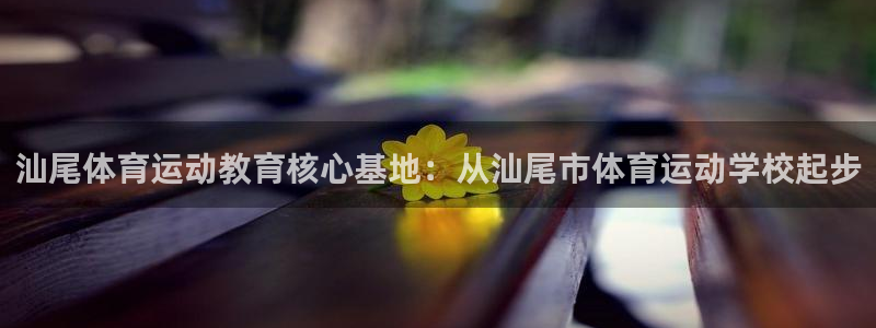 oety欧亿体育官网下载招商电话号码是多少号:汕尾体育运动教