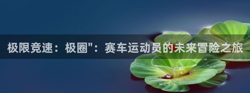 欧亿体育官方正版app娱乐代理怎么样:极限竞速:极圈\