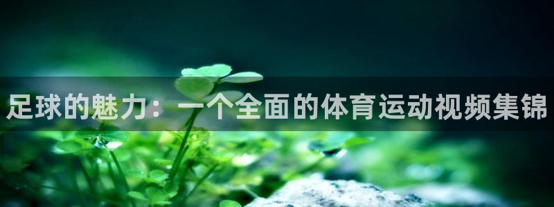 海南oety欧亿体育官网下载发展怎么样:足球的魅力:一个全面