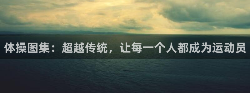 oety欧亿体育官网下载招商:体操图集:超越传统,让每一个人
